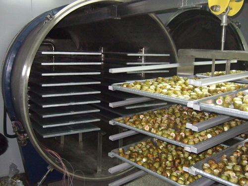 finished_food_freeze_dryer